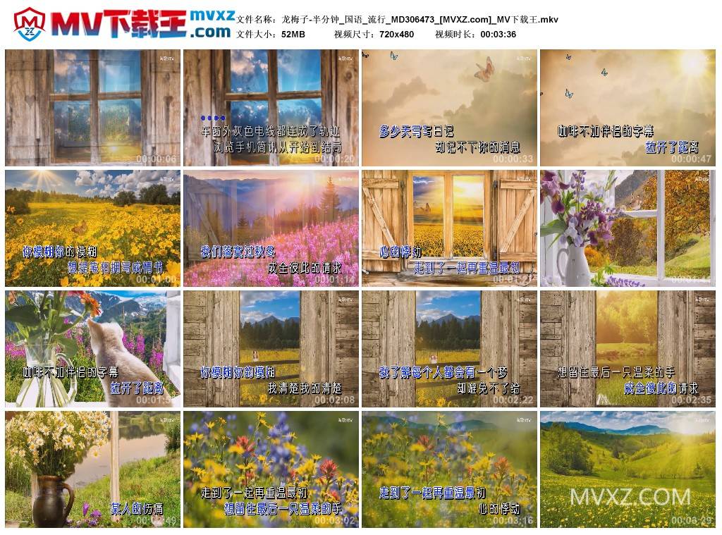 龙梅子-半分钟_国语_流行_MD306473